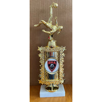 Starburst Soccer Trophy